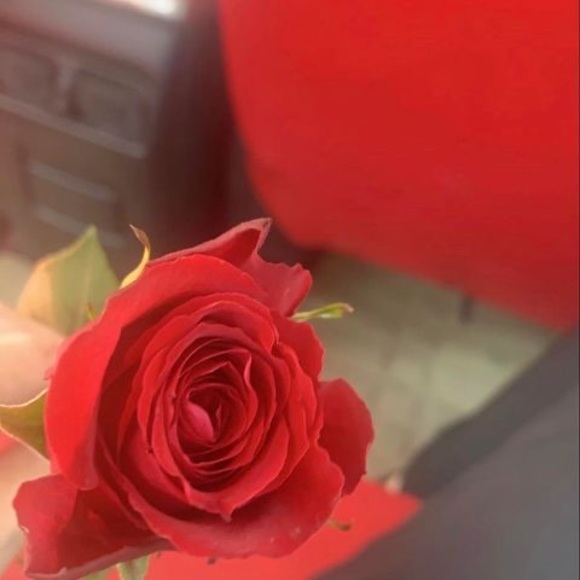 manar_ali